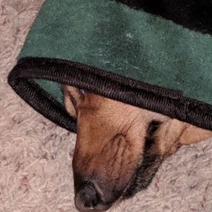 Meet your Posher, Todd